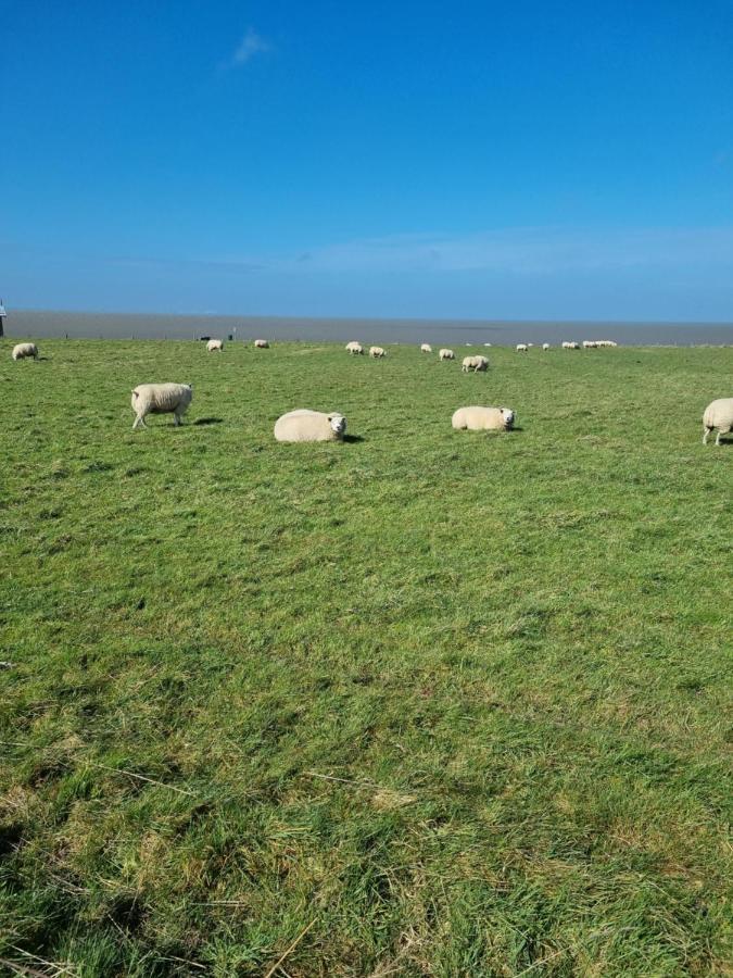 Meerblick Wattenmeer ,50M Vom Meer,Strand 300M Westerland Luaran gambar